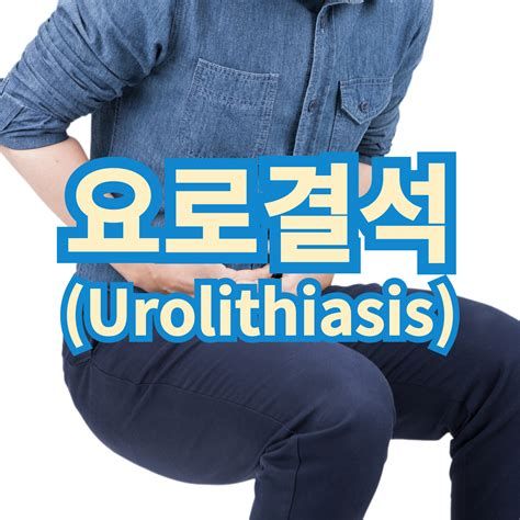 요로 결석 보험