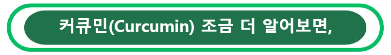 커큐민(Curcumin) 조금 더 알어보면,