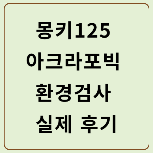 몽키125 아크라포빅 환경검사 실제 후기 공유