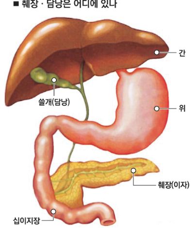 CA19-9 수치