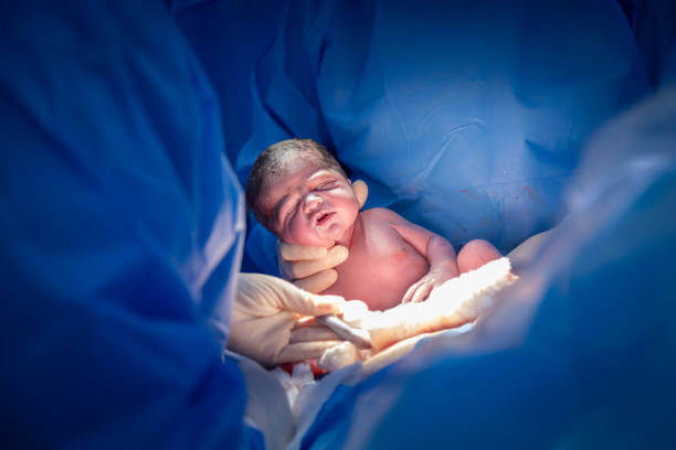 지자체별 출산장려금 지원내용 신청대상