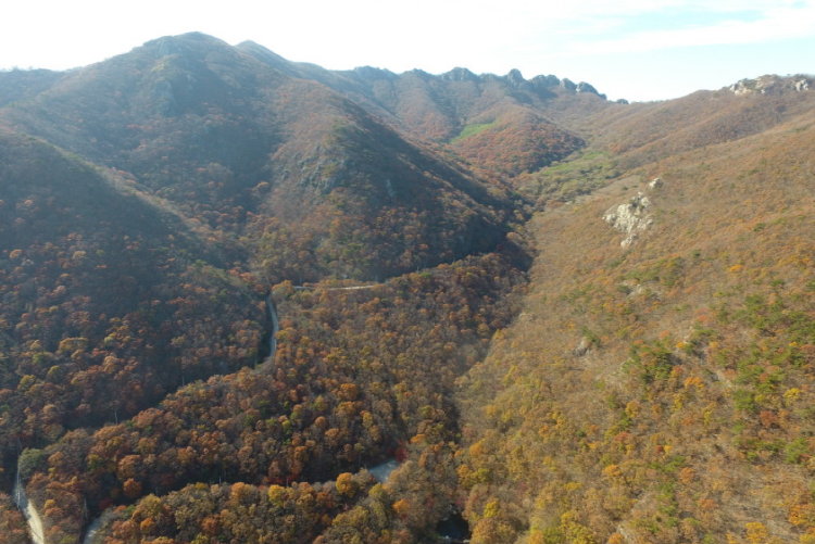 팔영산 자연휴양림