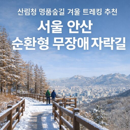산림청 명품숲길 겨울 트레킹 : 서울 안산 순환형 무장애 자락길