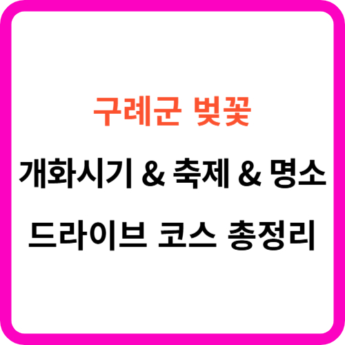 구례군 벚꽃 개화시기 축제 명소 드라이브 코스