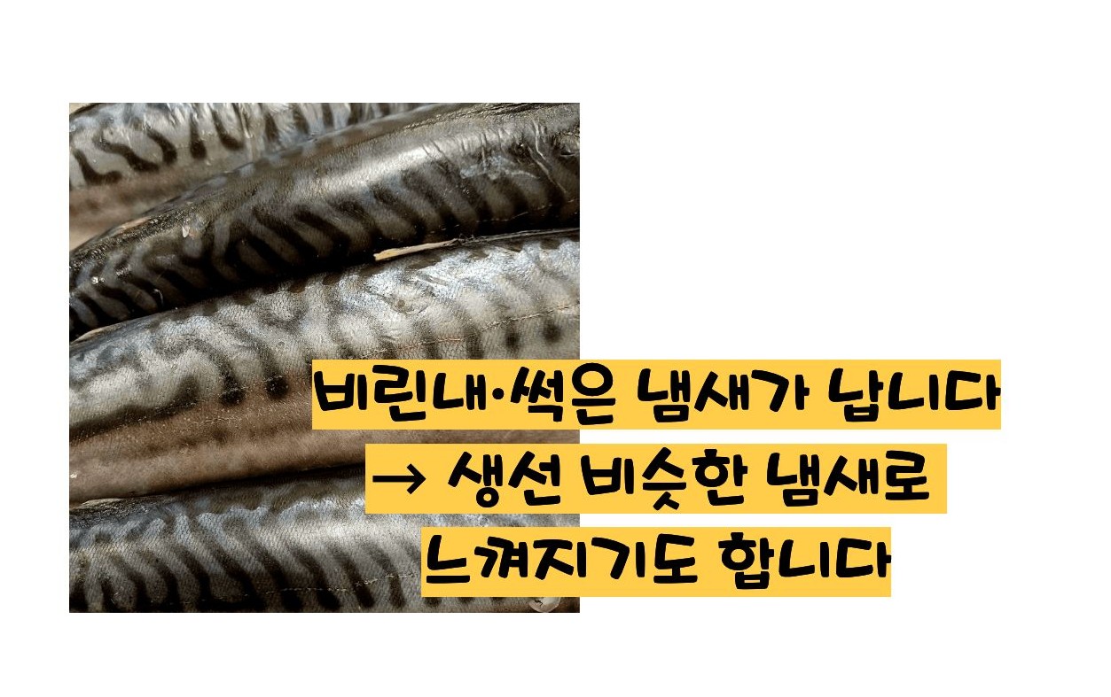 트리코모나스 질염 증상