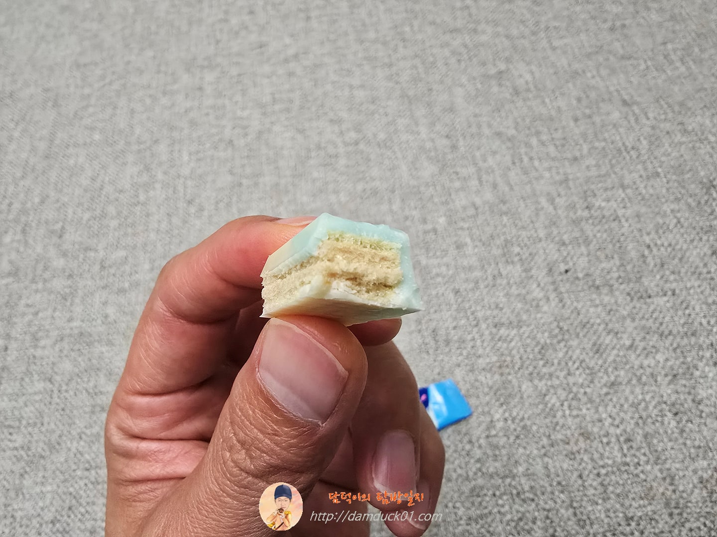 킷캣 후지산 블루베리치즈케이크 맛