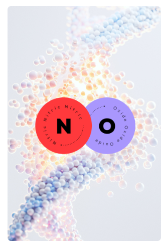 40대 이후 꼭 알아야 할 혈액순환의 핵심 원리(NO)