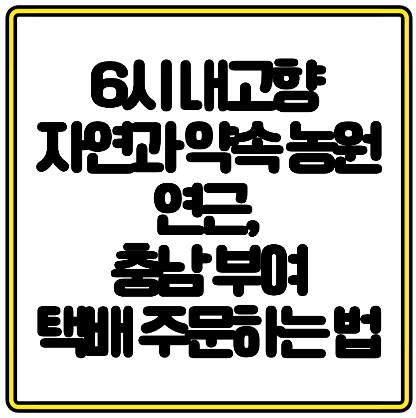 6시 내고향 자연과 약속 농원 연근, 충남 부여에서 택배 주문하는 법