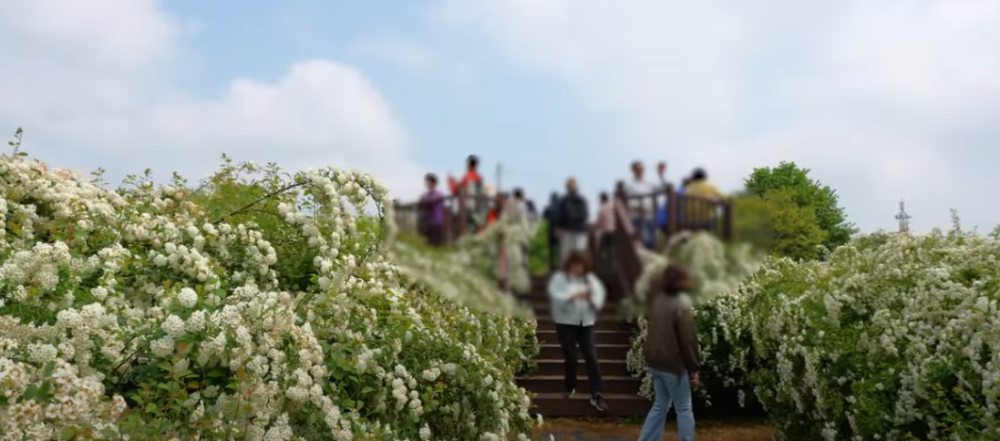 5월에 꼭 가봐야 할 적국 봄꽃 명소