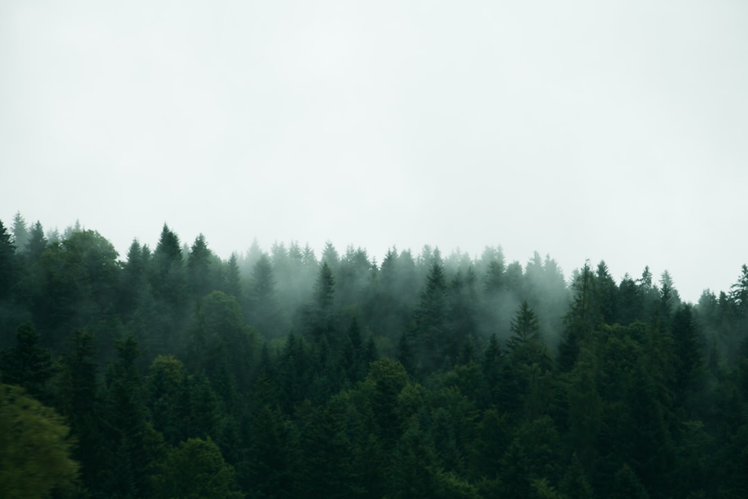 Atmosphere.
