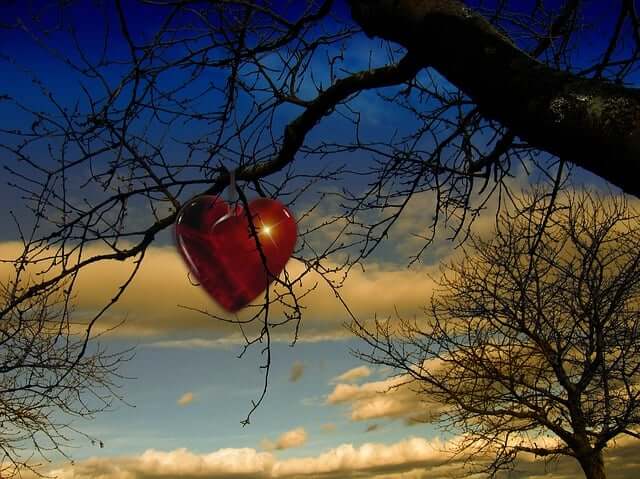 자일리톨 껌과 캔디