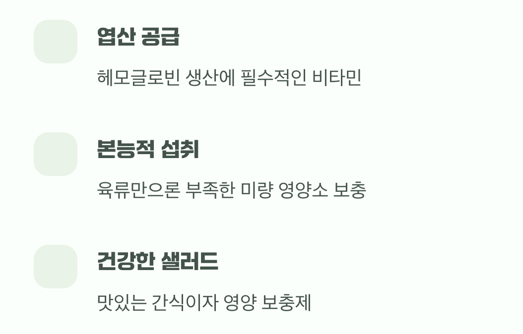 셋째, 부족한 영양소를 채우는 샐러드