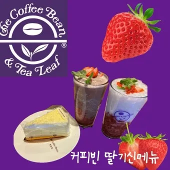 커피빈 신메뉴 함안 수박 주스 여름 한정 음료 추천_17