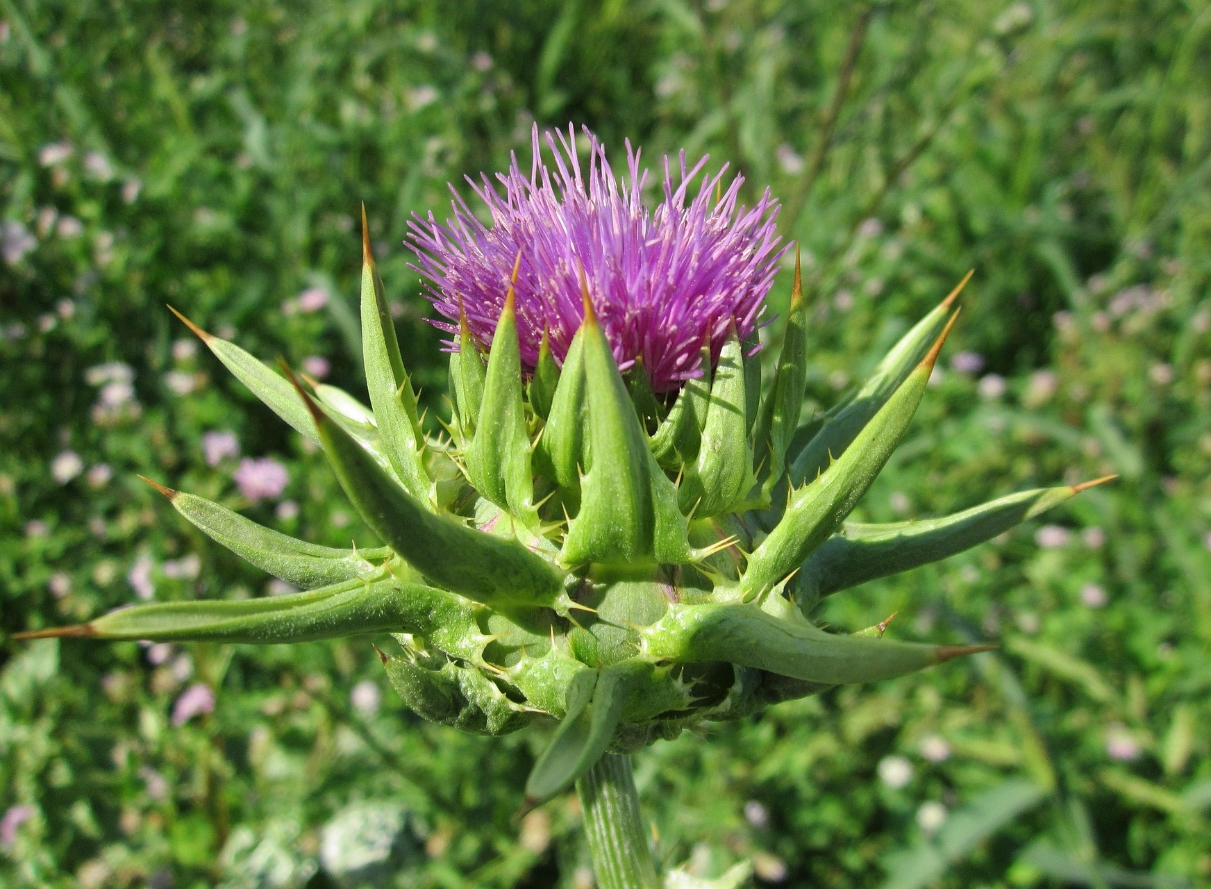 아침에 유독 피곤한 사람&amp;#44; 간이 밤새 혈당과 사투를 벌인 5가지 신호