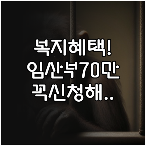 복지로 앱 활용 복지멤버십 신청 및 ..