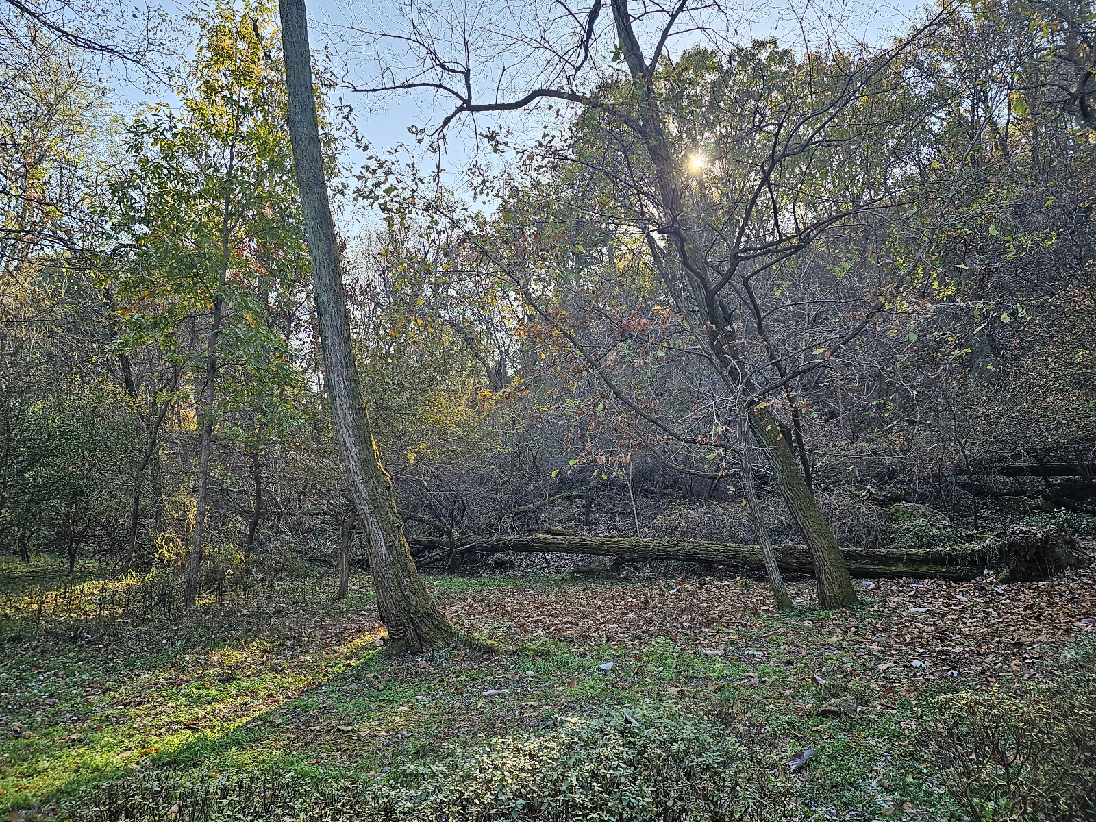 호빗마을을 연상캐 하는 개화산 숲길