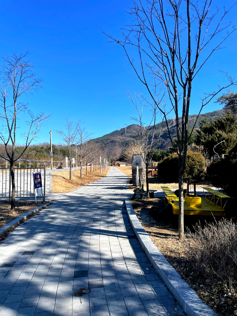 추운 겨울 정선 2박3일 여행 가볼만한 곳 03 - 나전역카페