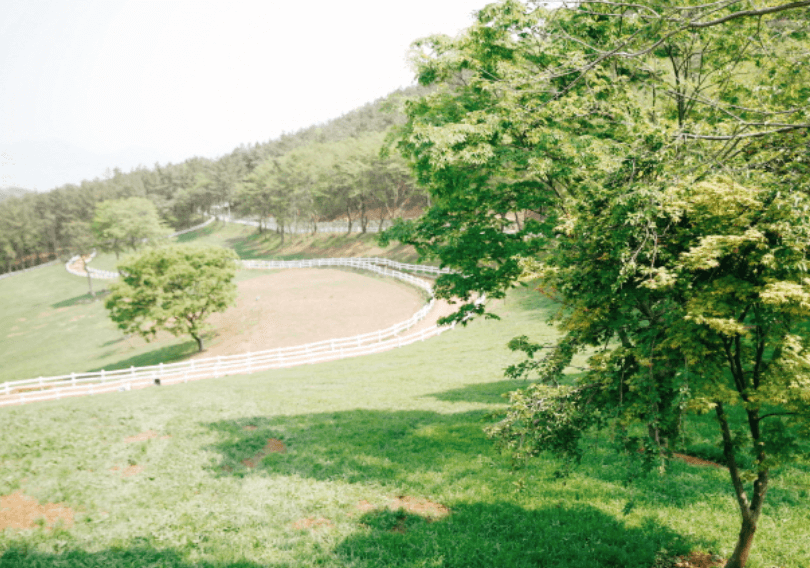 남해 가볼 만한 곳