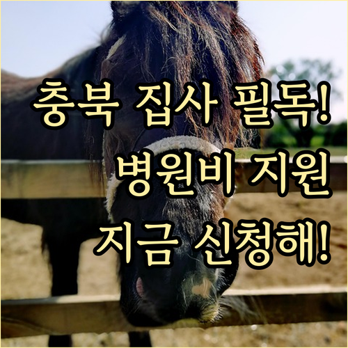 충북 강아지 고양이 병원비 지원 자격..