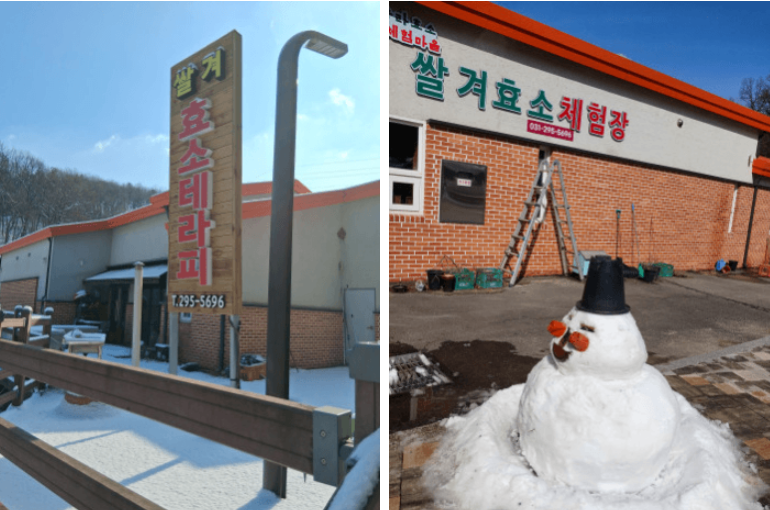 송라 쌀겨효소찜질 