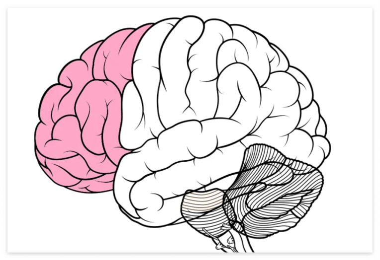 디노미네이션 효과4