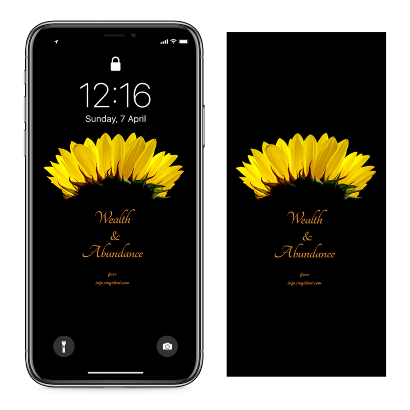05 해바라기 검정배경 C - Wealth and Abundance 돈들어오는배경화면
