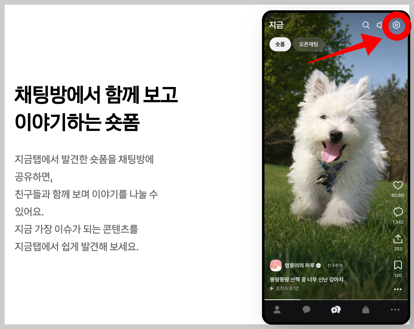 아이폰 어플 자동 업데이트 끄기 카카오톡 다운그레이드 카카오톡 숏폼끄기