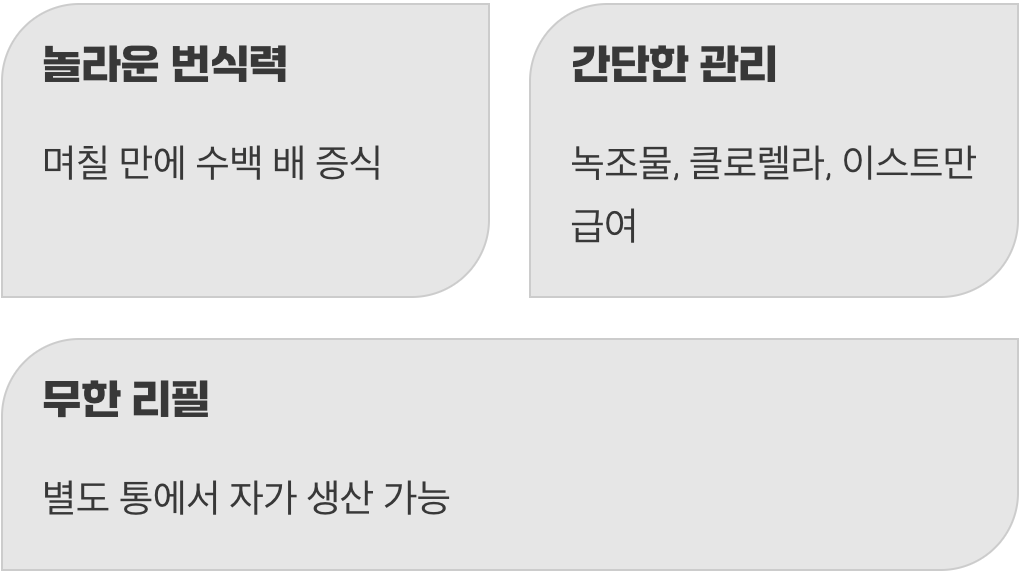 직접 키우는 즐거움, 무한 리필 간식 공장