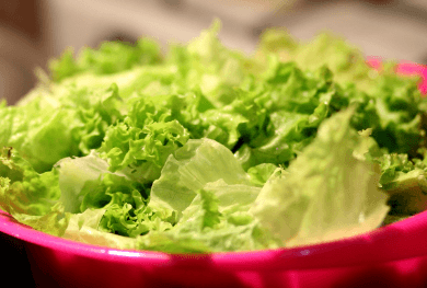 가을에 심는 작물