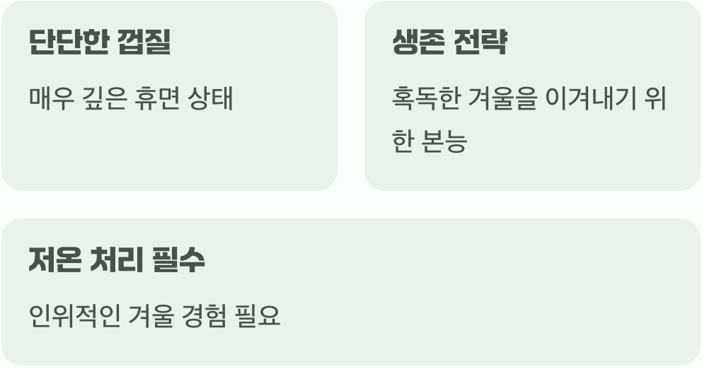 깊은 잠에 빠진 씨앗의 비밀