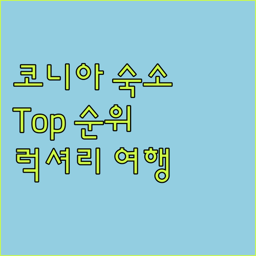 코니아 숙소 고민 끝! 힐튼 가든 인..