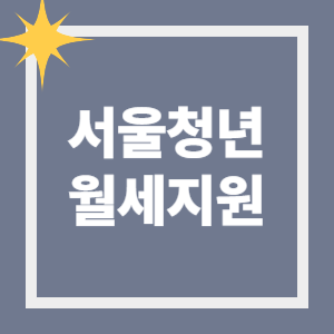 서울 청년 월세지원