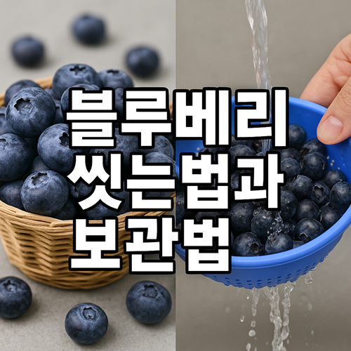 블루베리 씻는 법, 잘못하면 손해! 맛과 영양 지키는 세척 꿀팁