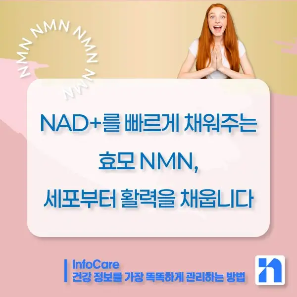효모 NMN 효능 부작용 복용법