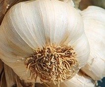 염증에 좋은 음식