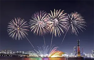 여의도불꽃축제 불꽃 장면 6