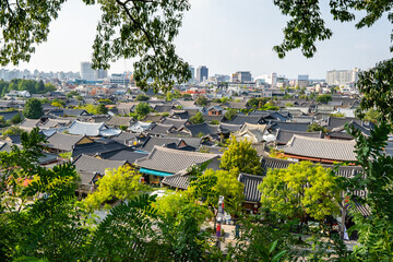 25년 4월 봄꽃여행지추천!!벚꽃 & 유채꽃 절정! 봄꽃 여행지 BEST 6