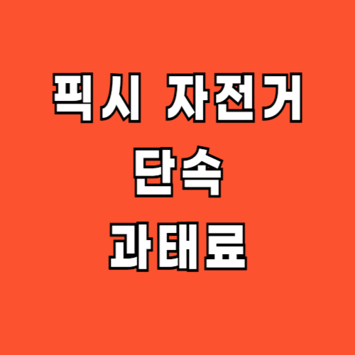 픽시 자전거 단속