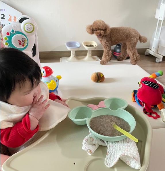 아기와 반려견이 함께 먹은 이유식