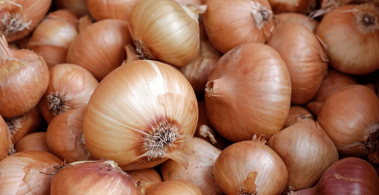 가래에 좋은 음식 사진 - 4