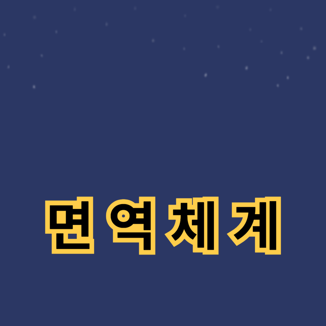 면역체계 강화와 자가면역질환 관리 비법