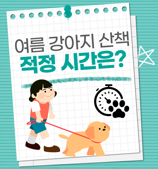 여름철 강아지 산책 적정 시간, 주의사항 정리(강아지 사람 온도차이)