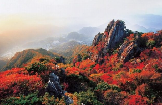 2025 대둔산 단풍 절정 &amp; 등산 코스 총정리 ❘ 케이블카&middot;주차&middot;소요시간 완벽 안내