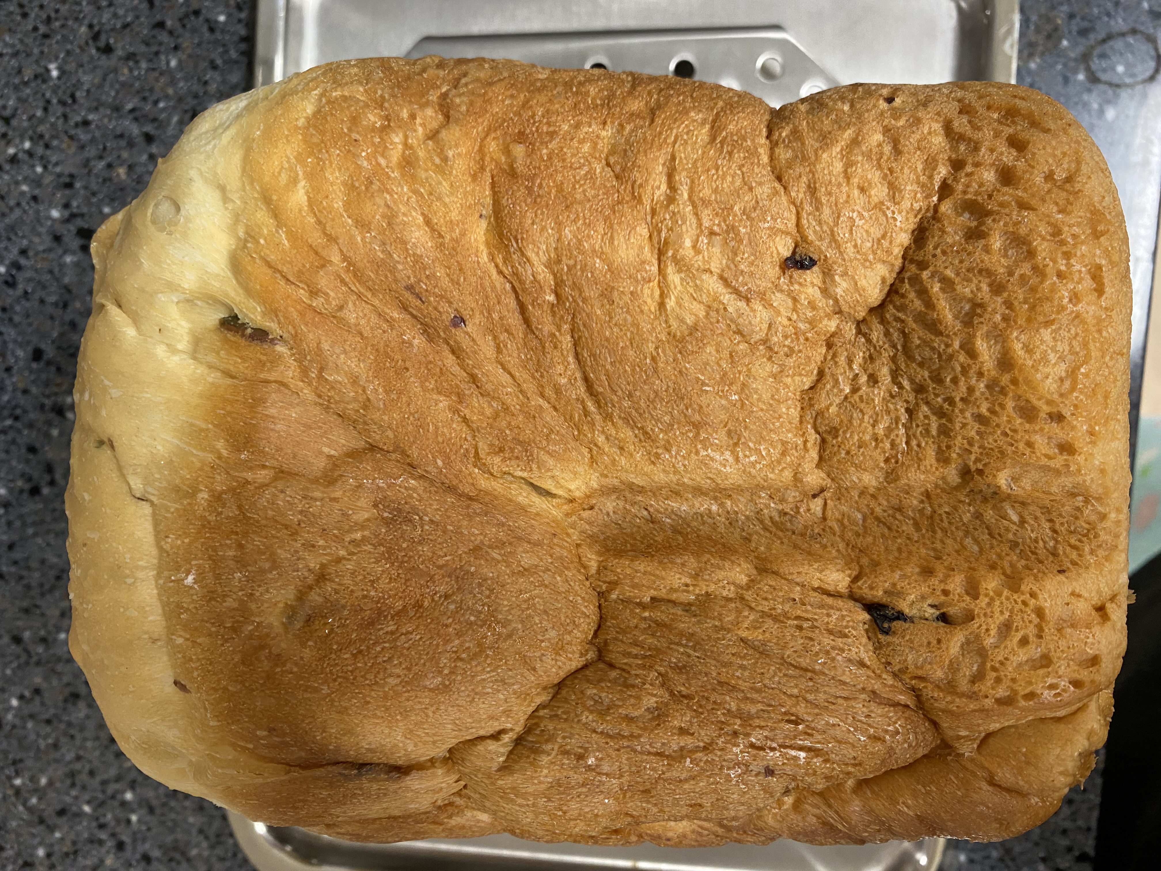 제빵기에서 발효되고 구워진 통밀빵