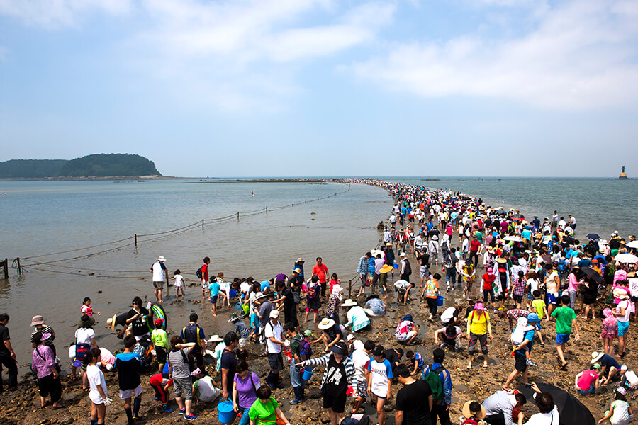 무창포해수욕장의 신비한 바닷길3