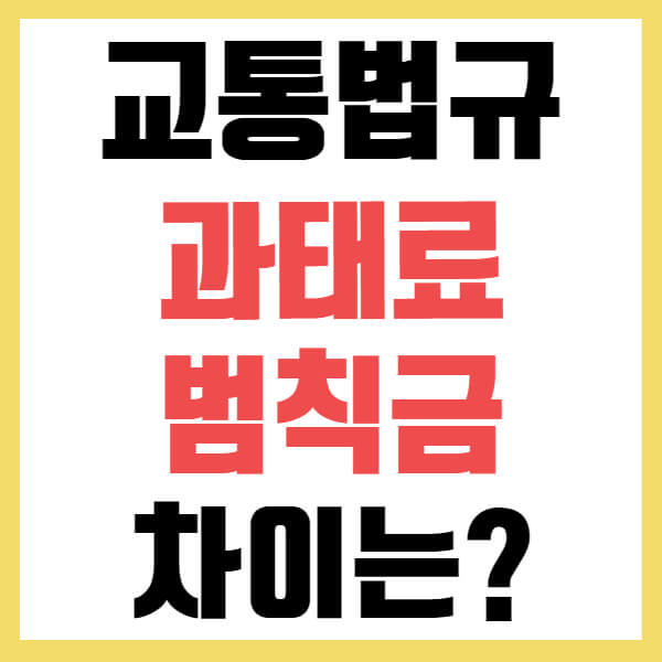 과태료 범칙금 차이