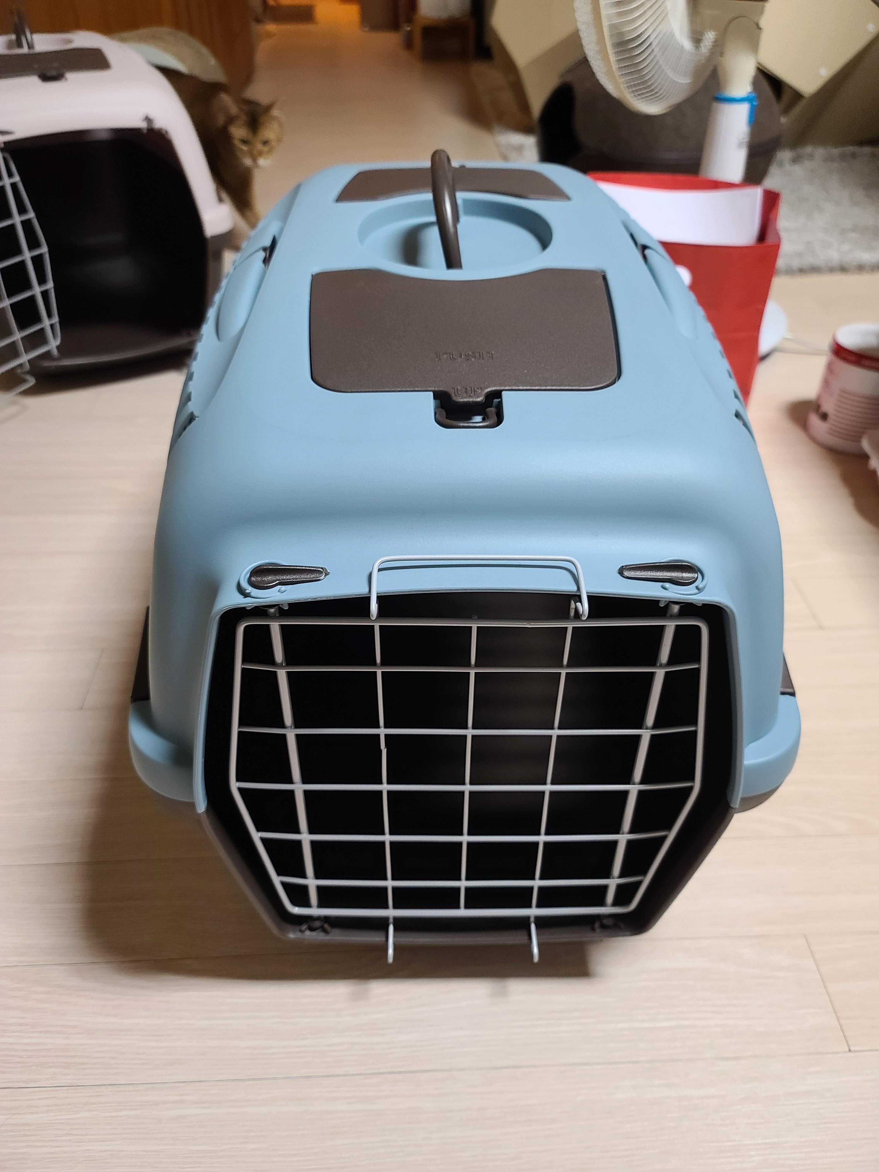 새 이동장이 왔다. 고양이들 총출동!