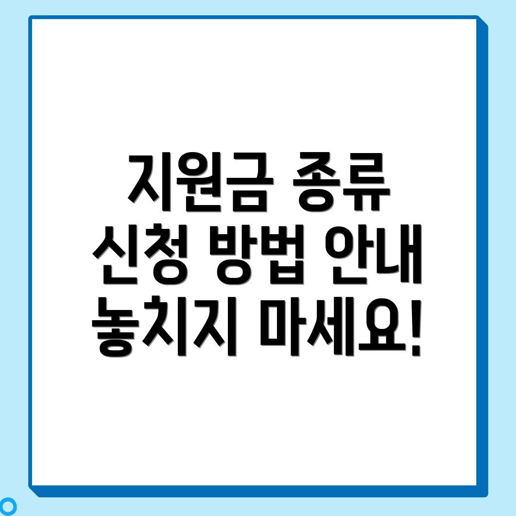 정부지원금