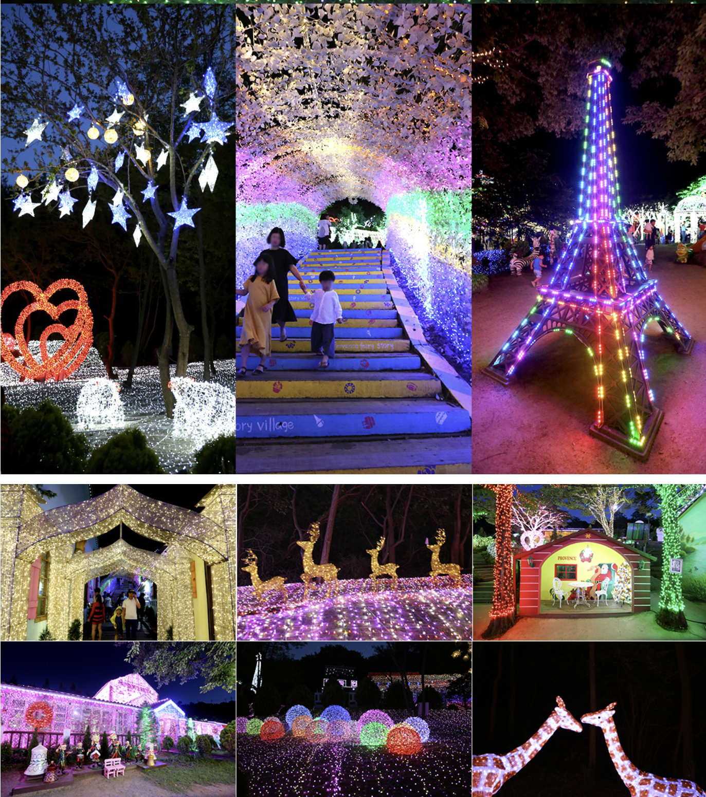 로맨틱 가든 존