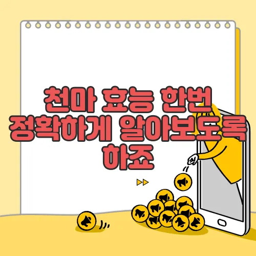 천마 효능 한번 정확하게 알아보도록 하죠